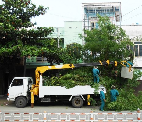 Dịch vụ trồng cây - VPĐD tại Vĩnh Phúc - Công Ty TNHH Dịch Vụ Công Nghiệp Huy Hoàng
